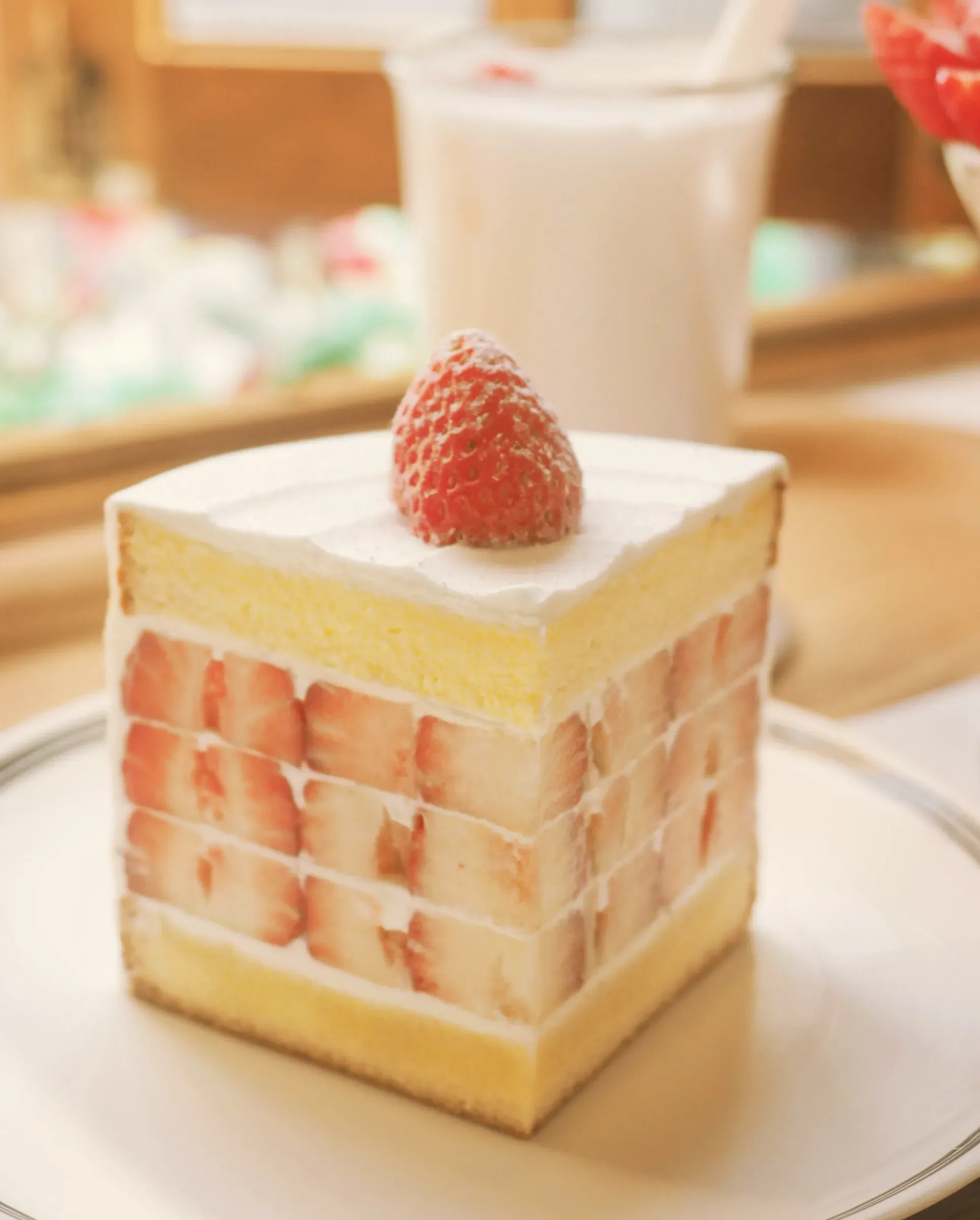A slice of strawberry fresh cream cake showing sponge, cream and halved strawberries