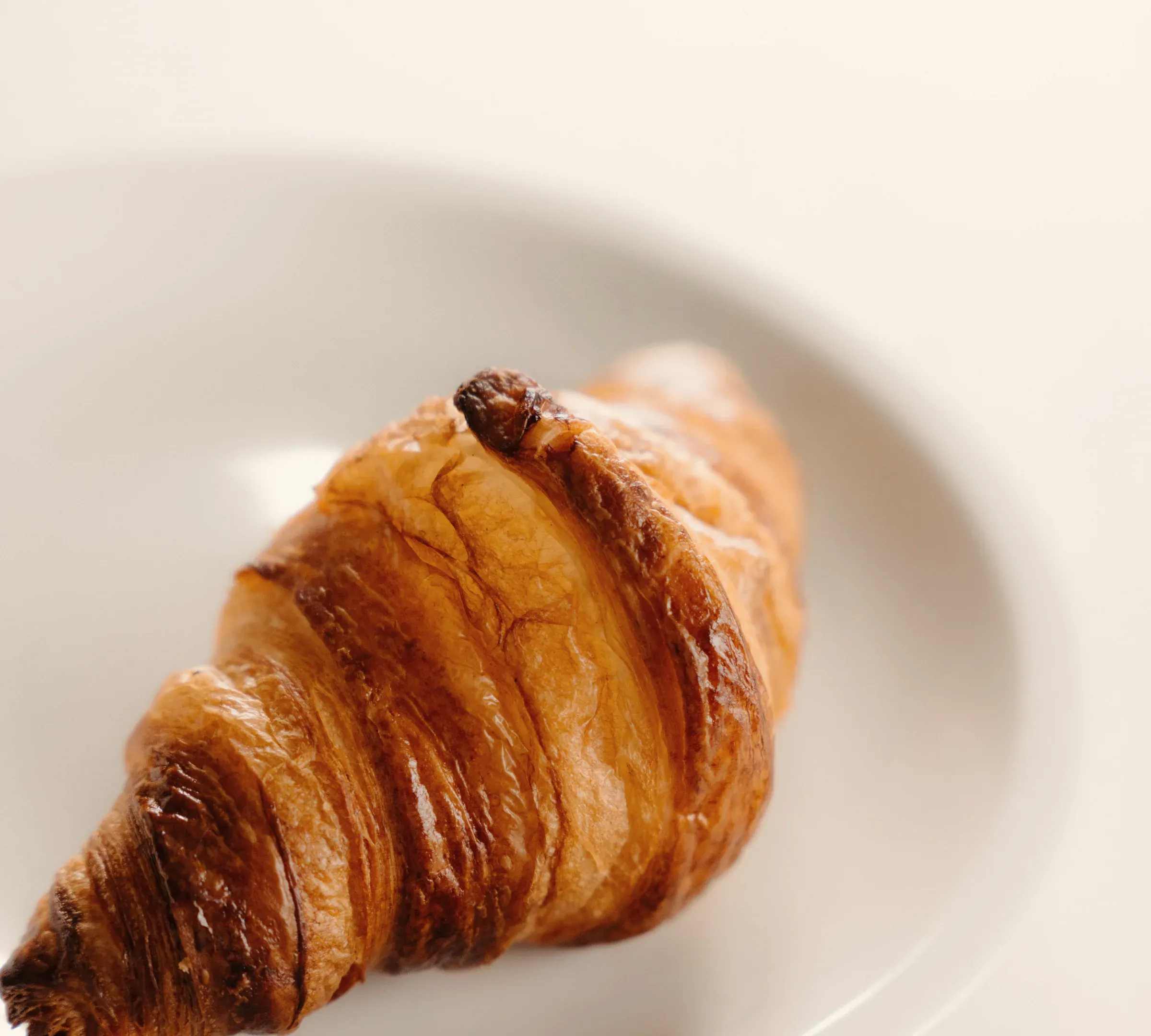 A tall golden butter croissant on a white plate