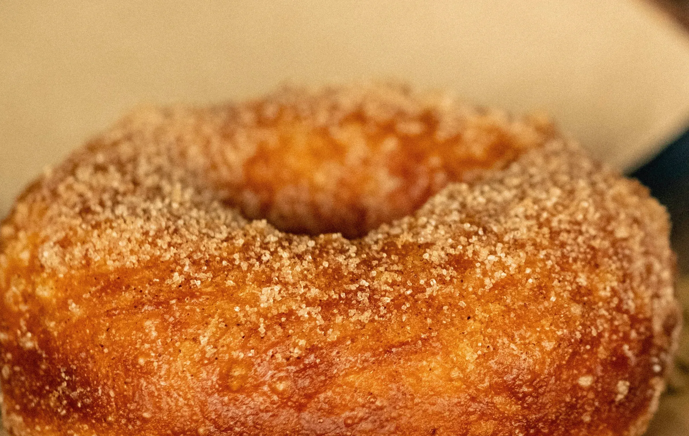 A cinnamon-sugar donut on a plate