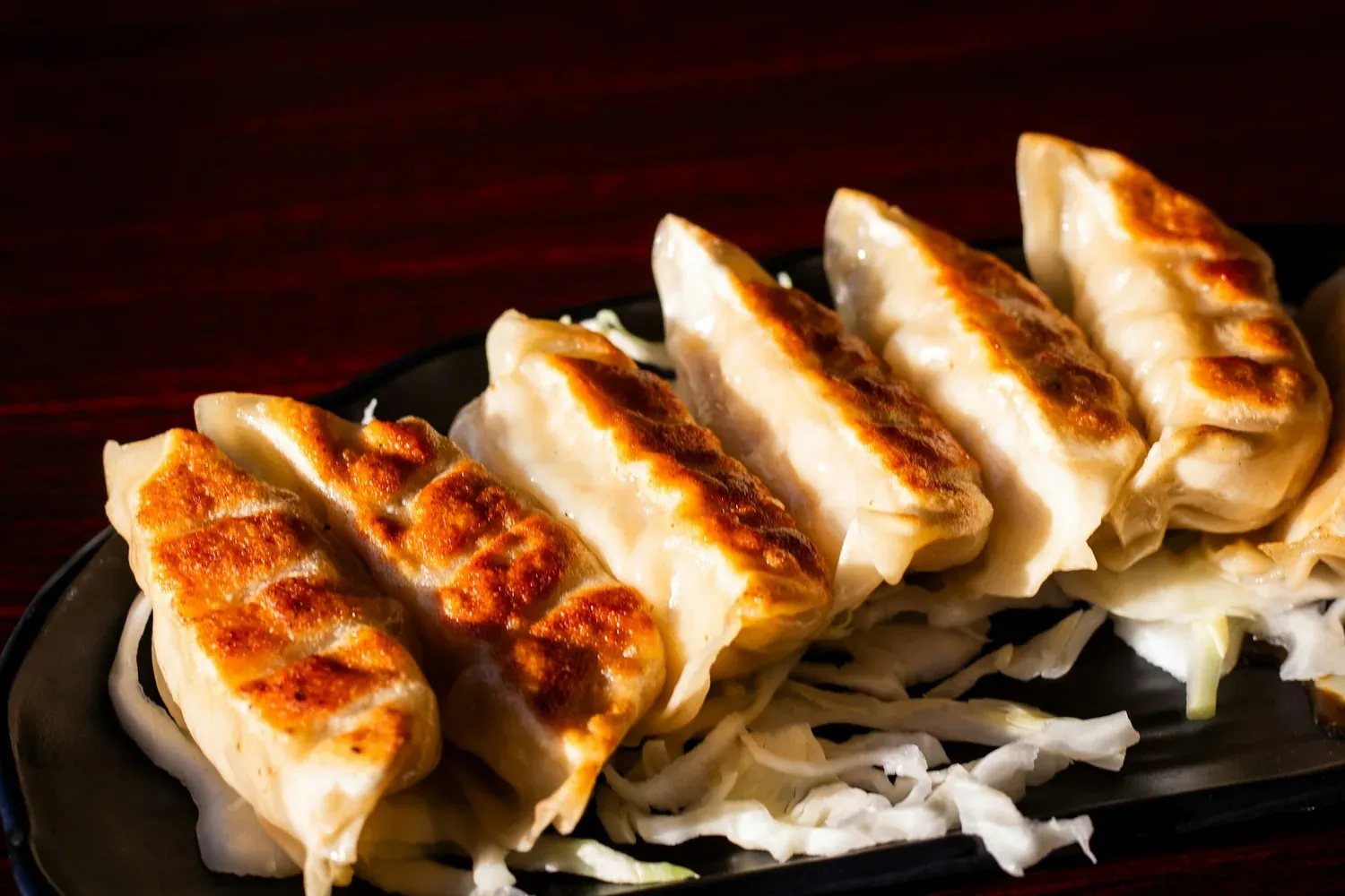 A row of pan-fried gyoza, browned on top, over shredded cabbage on a black plate