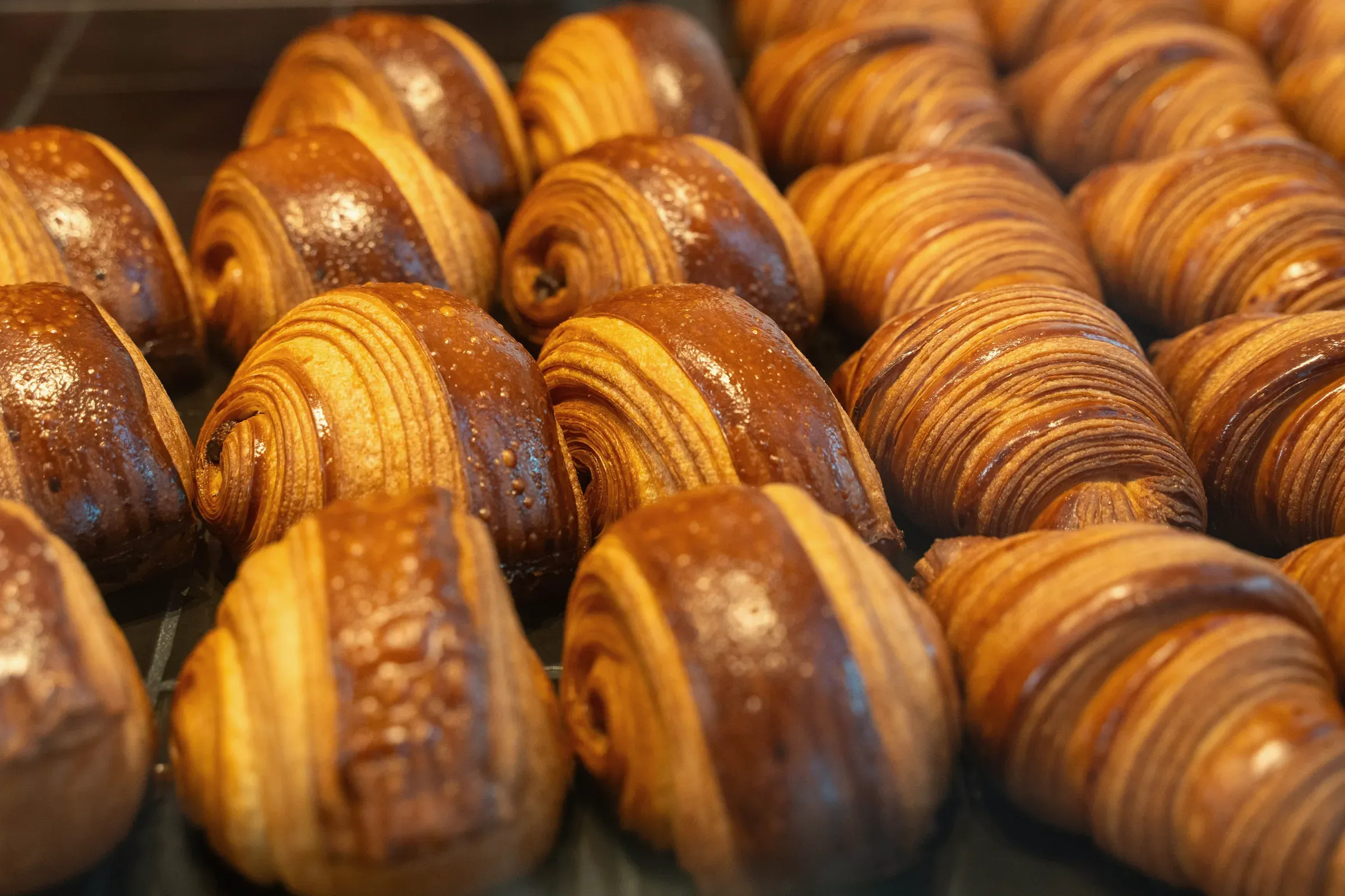 Rows of freshly baked chocolate croissants on bakery trays