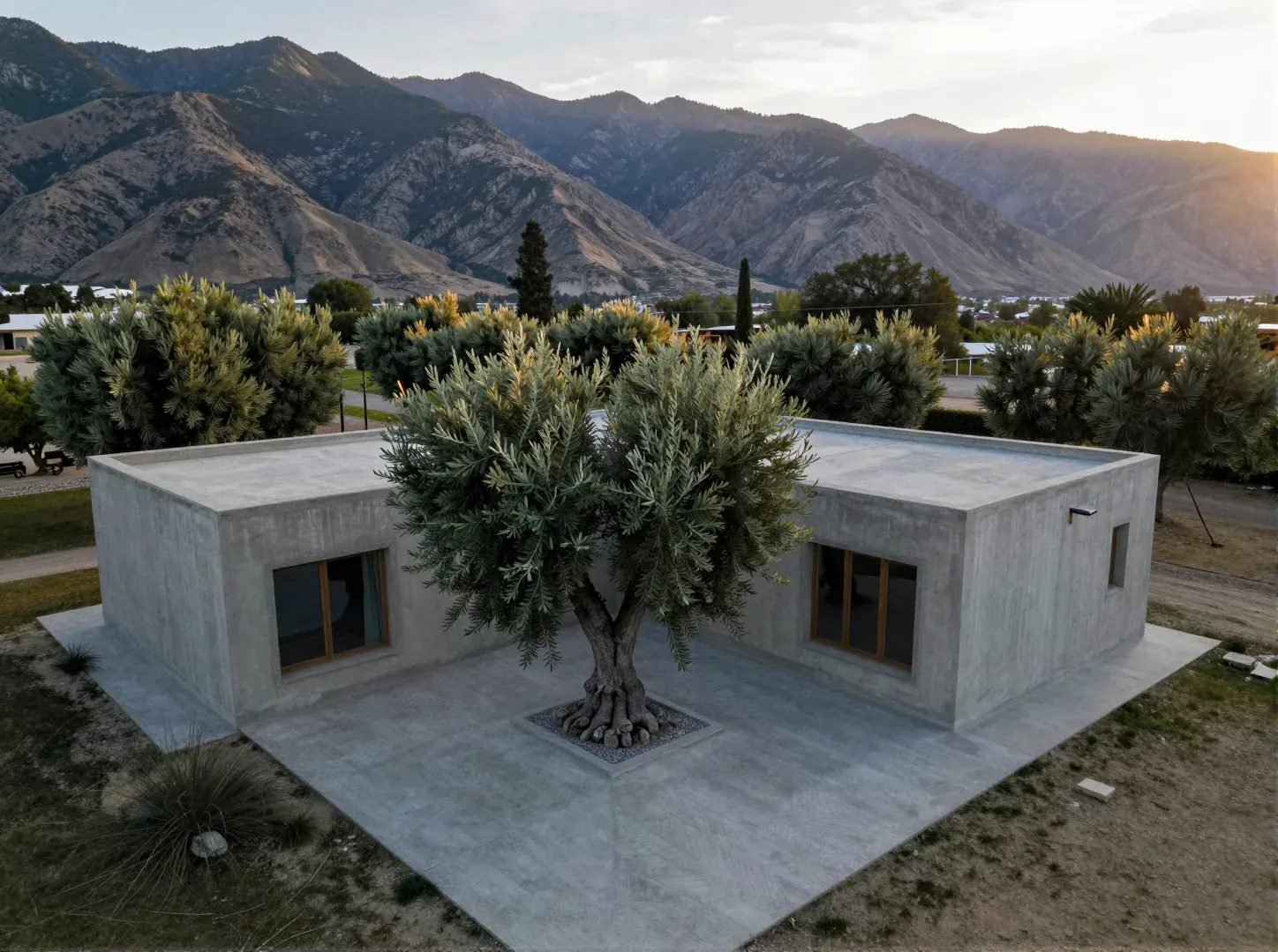 Aerial view of a courtyard house around an olive tree in a valley