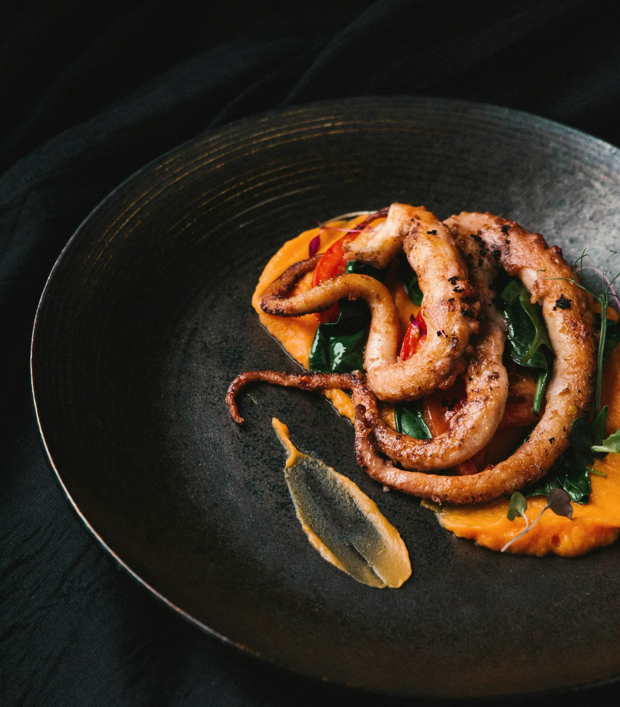 Charcoal-grilled octopus legs on greens and an orange purée, on a dark stoneware plate