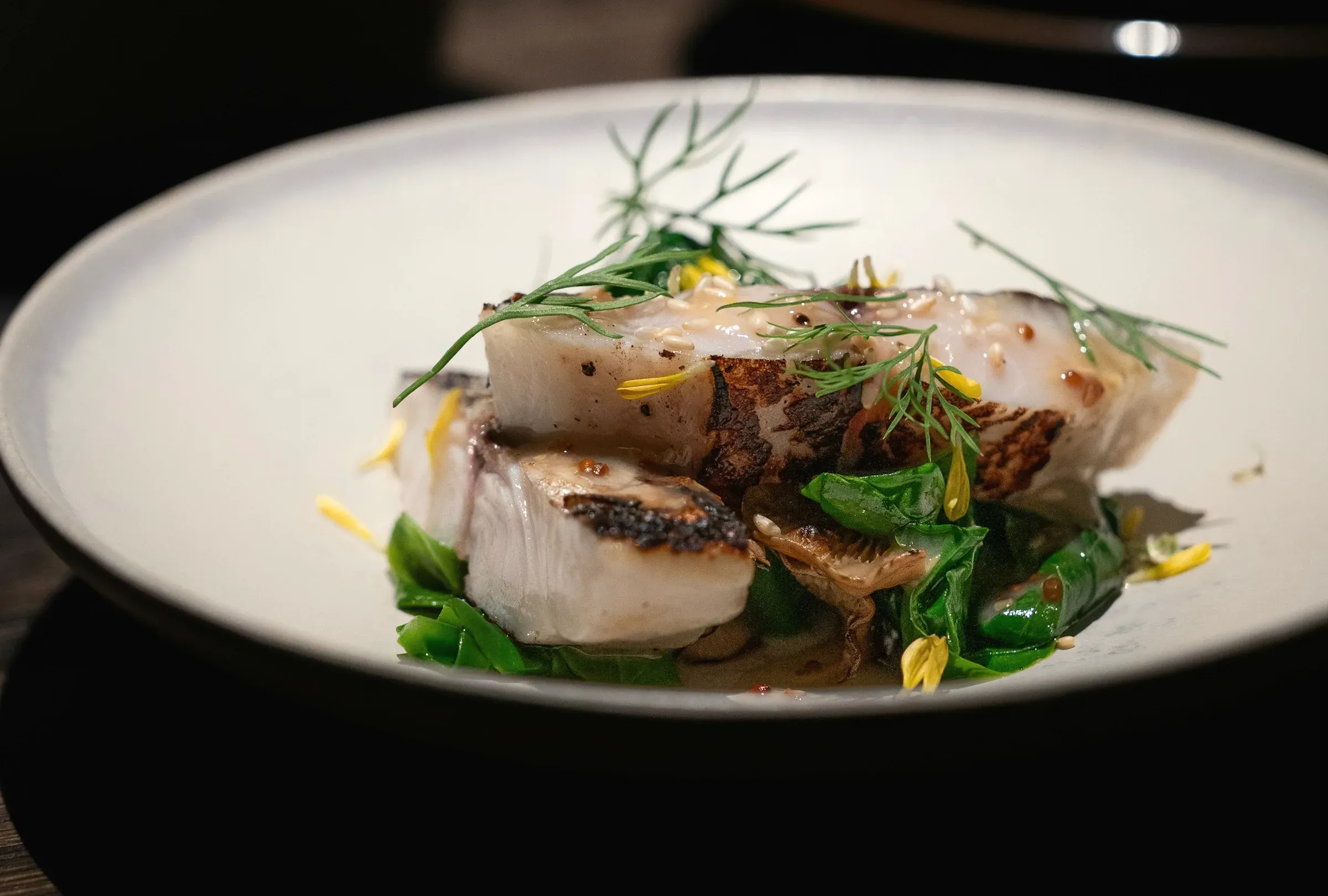 Seared white croaker with its skin crisp, on summer greens under dill, in a wide white bowl