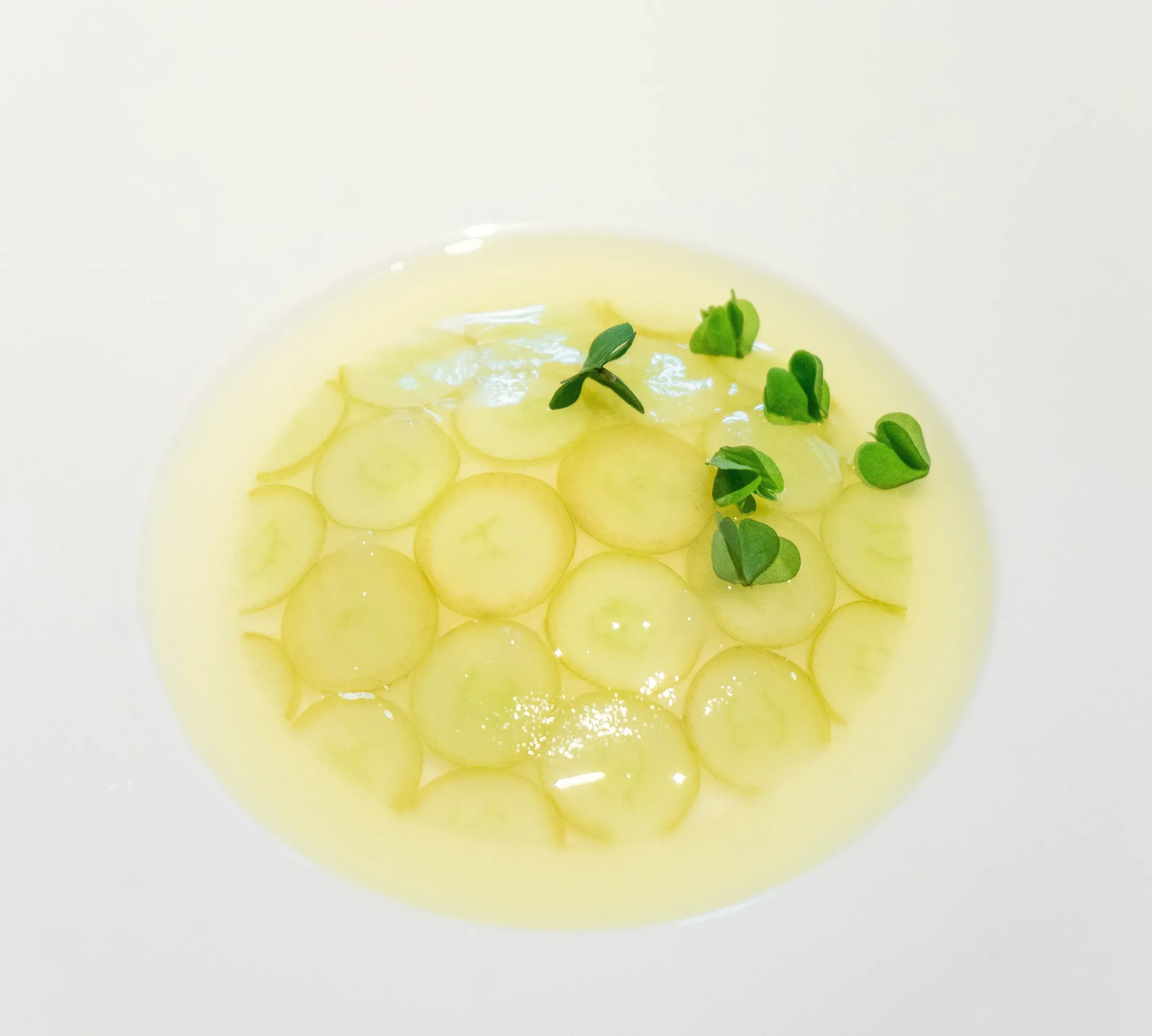 Paper-thin cucumber rounds in a pale cold broth with a few sprouts, in a white bowl