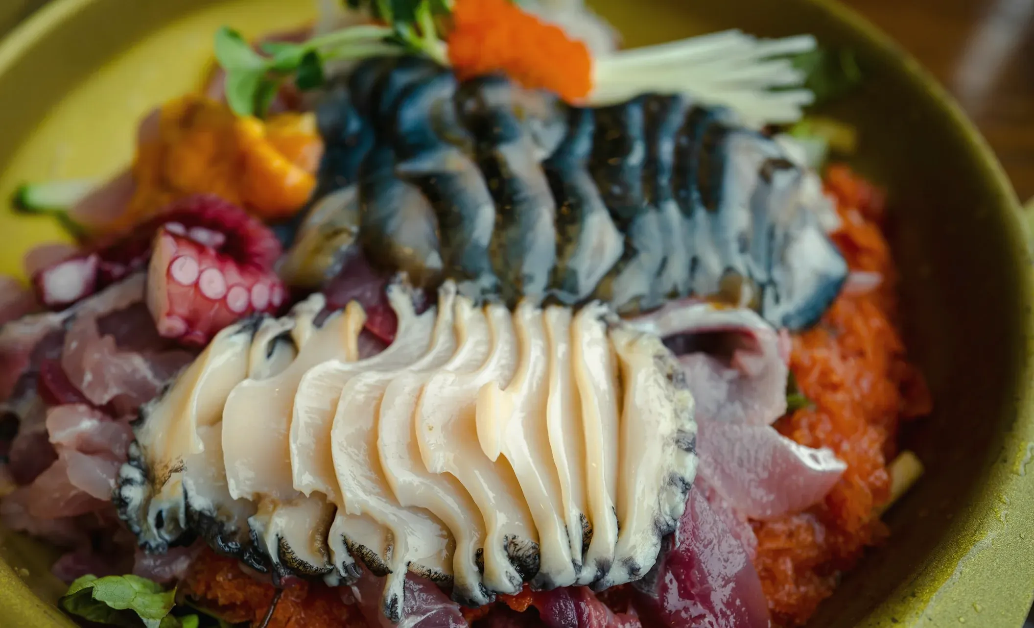 Sliced abalone, cured mackerel, octopus, tuna and roe over young lettuce in a wide stoneware bowl